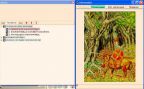 Аудиокнига. Русские народные сказки. Том 3