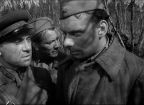 Летят журавли  Россия  (DVD регион)