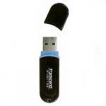Flash 1 Gb Transcend TS1GJFV30